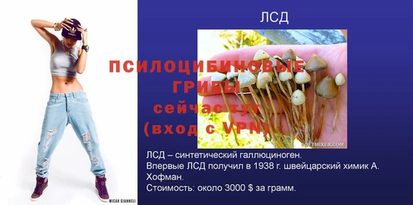 сатива Анива