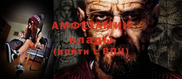 индика Апатиты