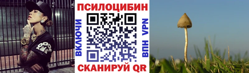 Галлюциногенные грибы мицелий  Тайшет 