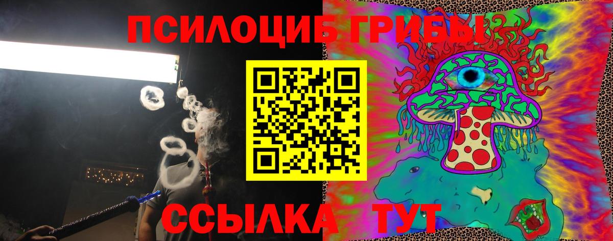 Псилоцибиновые грибы прущие грибы Тайшет