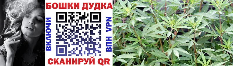 Шишки марихуана семена  Тайшет 